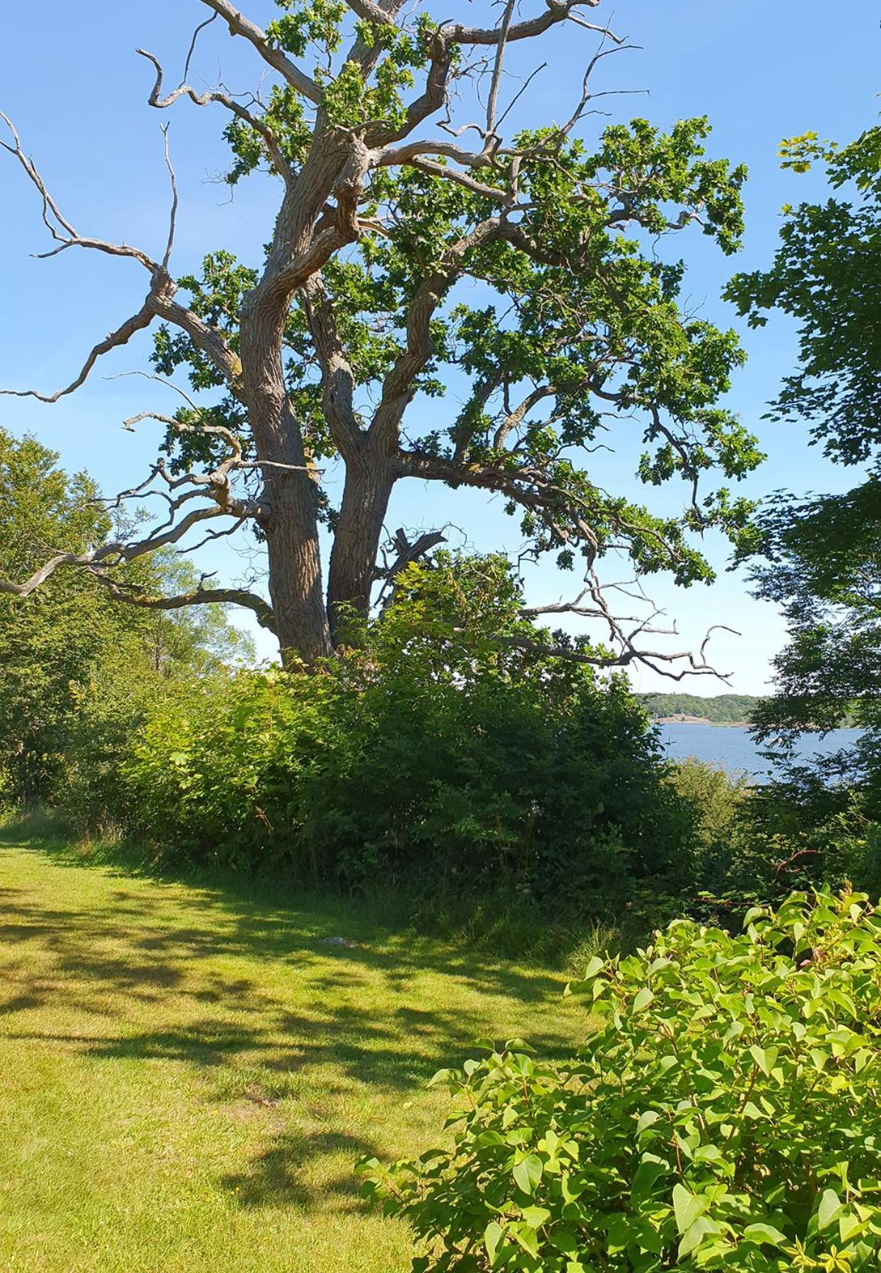 Skaerva Herrgard Karlskrona Extérieur photo