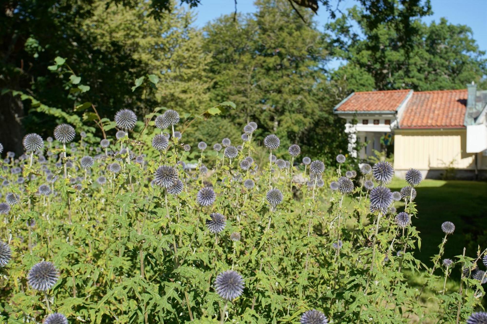 Skaerva Herrgard Karlskrona Extérieur photo